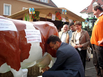 Brauermarkt